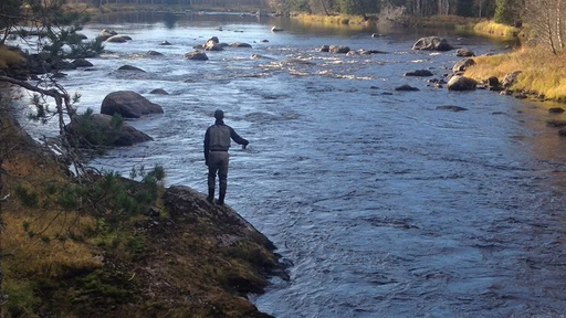 Friskvårdsbidrag till fiske?