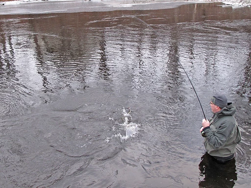 Flugfiske: Vinterfiske Havsöring