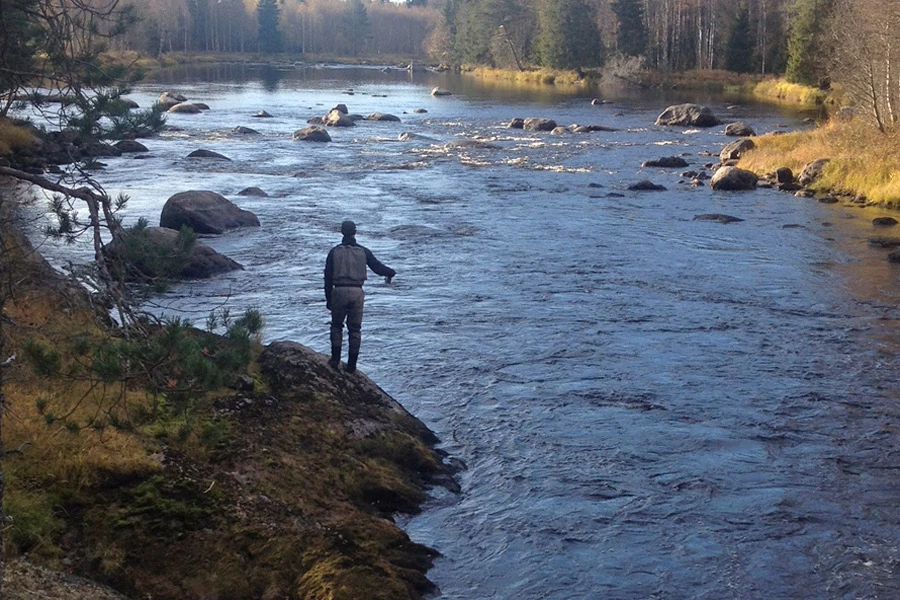 Friskvårdsbidrag till fiske