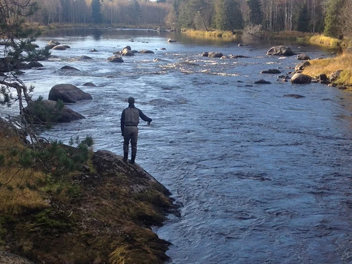 Friskvårdsbidrag till fiske?